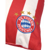 Kissen mit Namensdruck | Motiv FC Bayern München in rot | Fankissen 40 x 40 cm personalisiert 5 Sterne Logo
